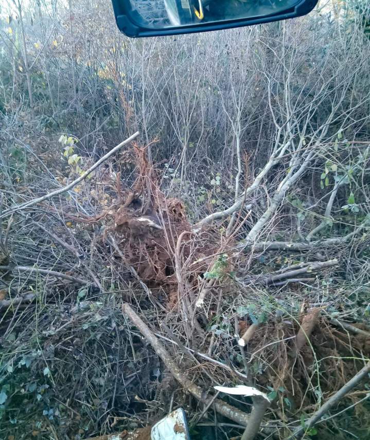 Travaux d'aménagement Mesnils-sur-Iton